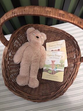 NEW Plush Honey Bear Slumberkins & books